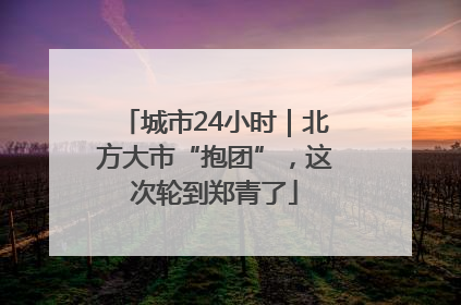 城市24小时｜北方大市“抱团”，这次轮到郑青了