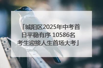城阳区2025年中考首日平稳有序 10586名考生迎接人生首场大考
