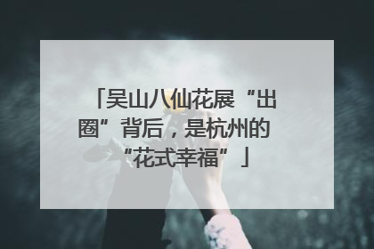 吴山八仙花展“出圈”背后，是杭州的“花式幸福”