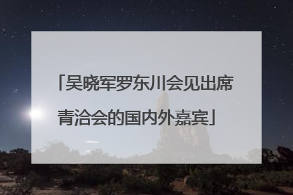 吴晓军罗东川会见出席青洽会的国内外嘉宾