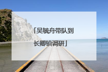 吴毓舟带队到长卿镇调研