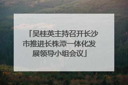 吴桂英主持召开长沙市推进长株潭一体化发展领导小组会议