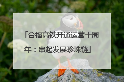 合福高铁开通运营十周年：串起发展珍珠链