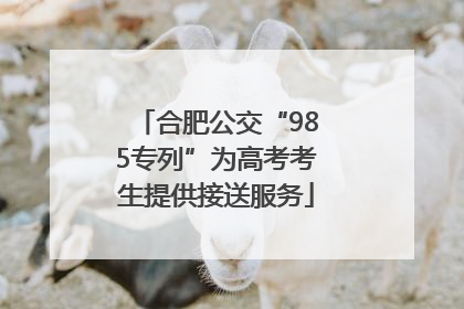 合肥公交“985专列”为高考考生提供接送服务