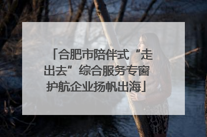 合肥市陪伴式“走出去”综合服务专窗护航企业扬帆出海