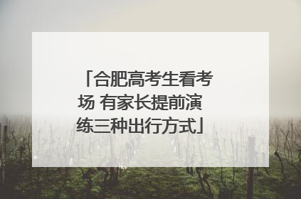 合肥高考生看考场 有家长提前演练三种出行方式