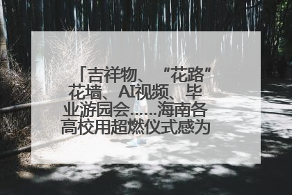 吉祥物、“花路”花墙、AI视频、毕业游园会……海南各高校用超燃仪式感为学子青春“存档”
