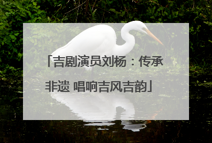 吉剧演员刘杨：传承非遗 唱响吉风吉韵