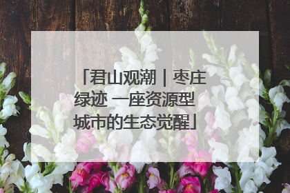 君山观潮｜枣庄绿迹 一座资源型城市的生态觉醒