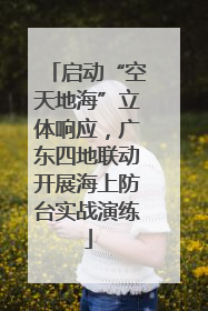 启动“空天地海”立体响应，广东四地联动开展海上防台实战演练