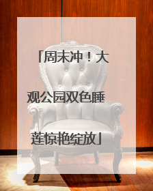 周末冲！大观公园双色睡莲惊艳绽放