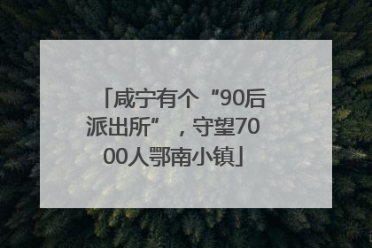 咸宁有个“90后派出所”，守望7000人鄂南小镇