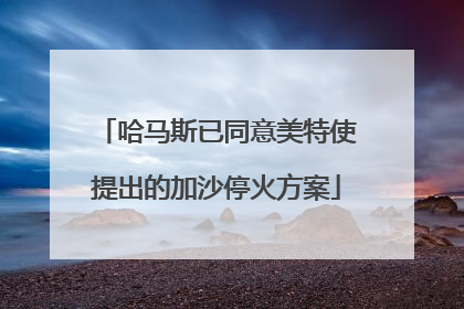 哈马斯已同意美特使提出的加沙停火方案