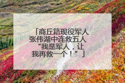 商丘籍现役军人张伟湖中连救五人 “我是军人，让我再救一个！”