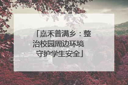 嘉禾普满乡：整治校园周边环境 守护学生安全