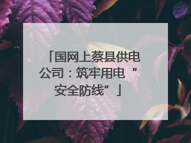 国网上蔡县供电公司：筑牢用电“安全防线”