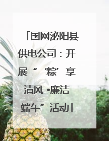 国网泌阳县供电公司：开展“‘粽’享清风 •廉洁端午”活动
