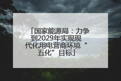 国家能源局：力争到2029年实现现代化用电营商环境“五化”目标