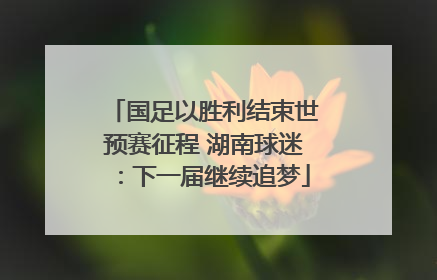 国足以胜利结束世预赛征程 湖南球迷：下一届继续追梦