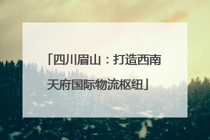 四川眉山：打造西南天府国际物流枢纽