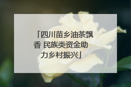 四川苗乡油茶飘香 民族类资金助力乡村振兴