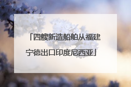 四艘新造船舶从福建宁德出口印度尼西亚