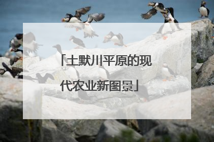 土默川平原的现代农业新图景