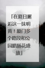 在夏日邂逅这一抹明黄！厦门多个路段和公园腊肠花盛放