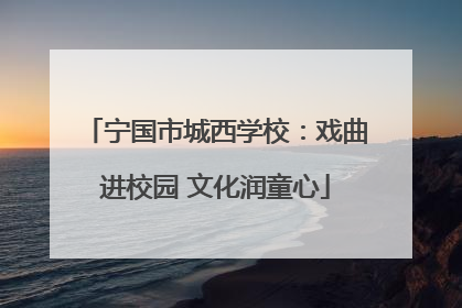 宁国市城西学校：戏曲进校园 文化润童心