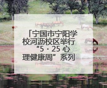 宁国市宁阳学校河沥校区举行“5・25 心理健康周”系列活动