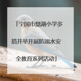 宁国市鼎湖小学多措并举开展防溺水安全教育系列活动