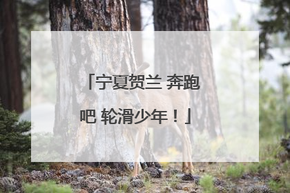 宁夏贺兰 奔跑吧 轮滑少年！