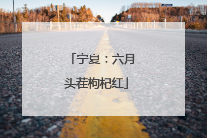 宁夏：六月头茬枸杞红