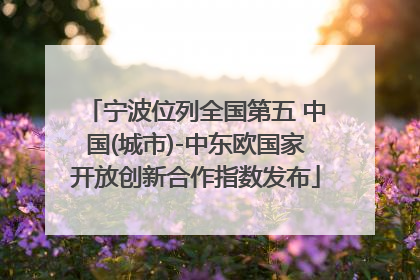 宁波位列全国第五 中国(城市)-中东欧国家开放创新合作指数发布