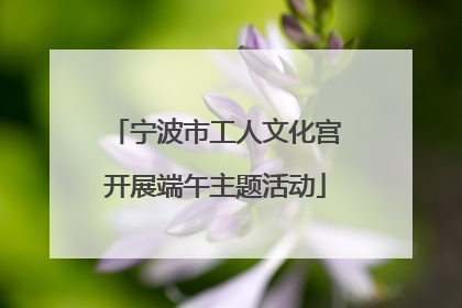 宁波市工人文化宫开展端午主题活动