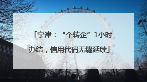 宁津：“个转企”1小时办结，信用代码无缝延续