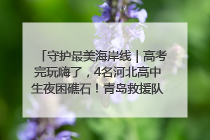 守护最美海岸线｜高考完玩嗨了，4名河北高中生夜困礁石！青岛救援队火速出动救上岸