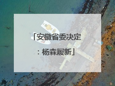 安徽省委决定：杨森履新