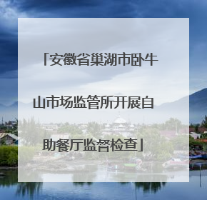 安徽省巢湖市卧牛山市场监管所开展自助餐厅监督检查