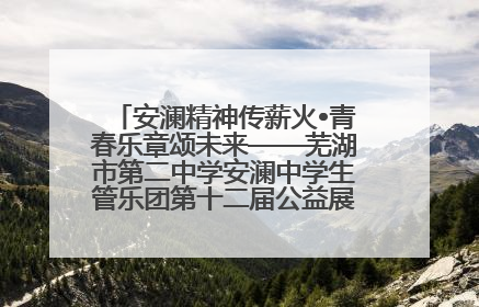 安澜精神传薪火•青春乐章颂未来——芜湖市第二中学安澜中学生管乐团第十二届公益展演圆满举行