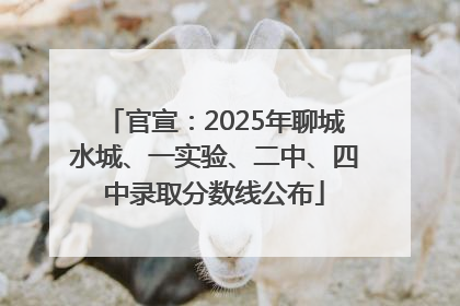 官宣：2025年聊城水城、一实验、二中、四中录取分数线公布