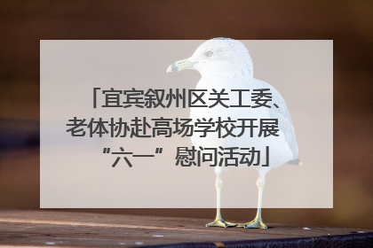 宜宾叙州区关工委、老体协赴高场学校开展“六一”慰问活动