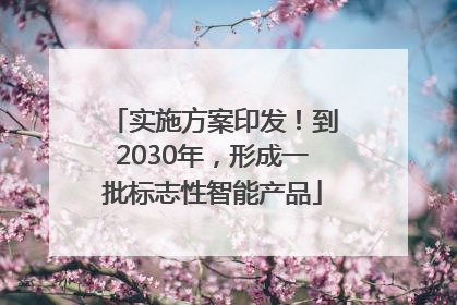 实施方案印发！到2030年，形成一批标志性智能产品