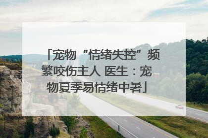 宠物“情绪失控”频繁咬伤主人 医生：宠物夏季易情绪中暑