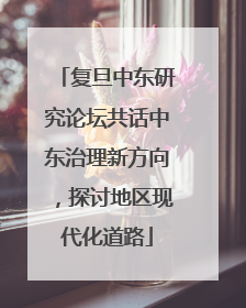复旦中东研究论坛共话中东治理新方向，探讨地区现代化道路
