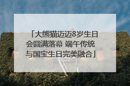 大熊猫迈迈8岁生日会圆满落幕 端午传统与国宝生日完美融合