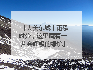 大美东城｜雨歇时分，这里藏着一片会呼吸的绿境