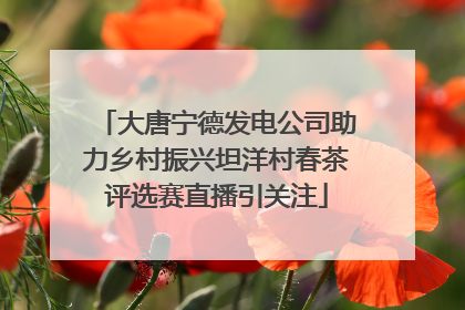 大唐宁德发电公司助力乡村振兴坦洋村春茶评选赛直播引关注