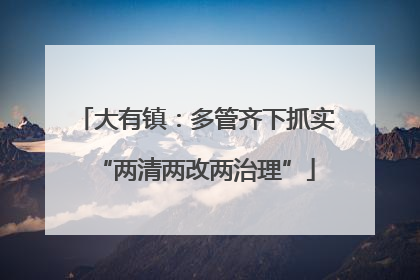 大有镇：多管齐下抓实“两清两改两治理”