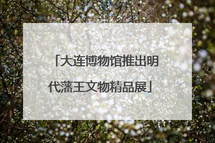 大连博物馆推出明代藩王文物精品展
